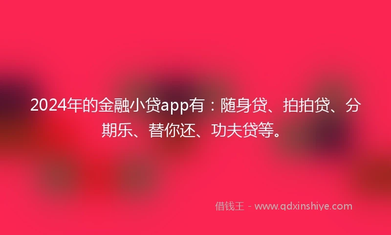 2024年的金融小贷app有：随身贷、拍拍贷、分期乐、替你还、功夫贷等。