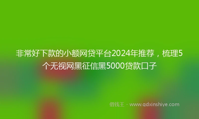 非常好下款的小额网贷平台2024年推荐，梳理5个无视网黑征信黑5000贷款口子