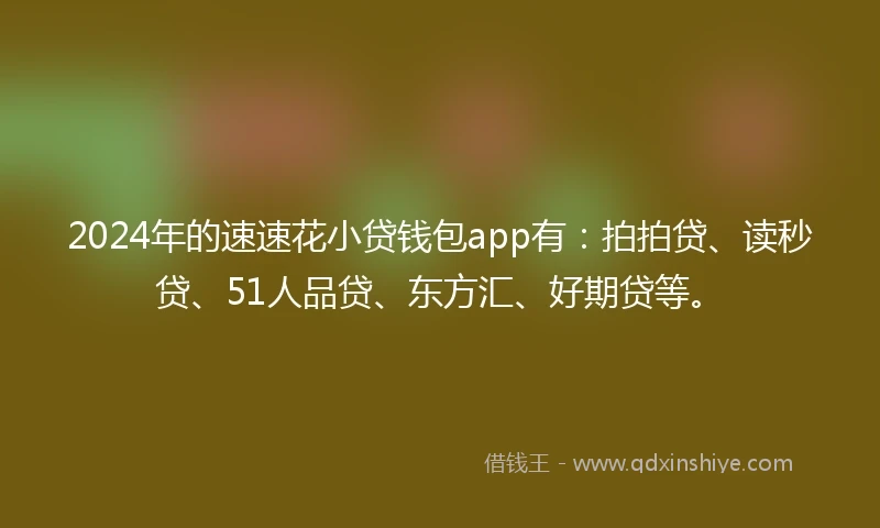 2024年的速速花小贷钱包app有：拍拍贷、读秒贷、51人品贷、东方汇、好期贷等。