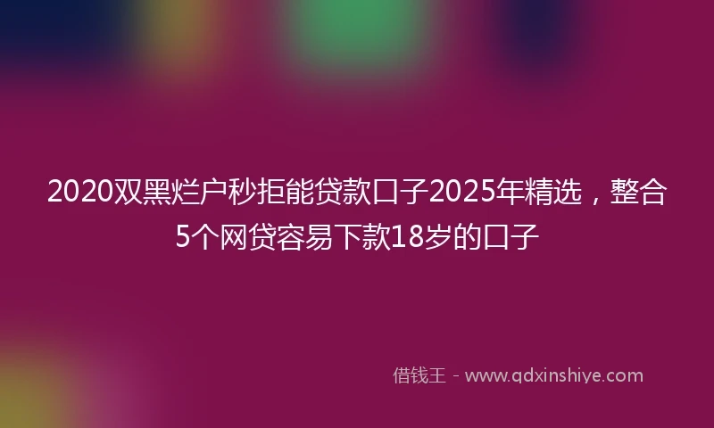 2020双黑烂户秒拒能贷款口子2025年精选，整合5个网贷容易下款18岁的口子