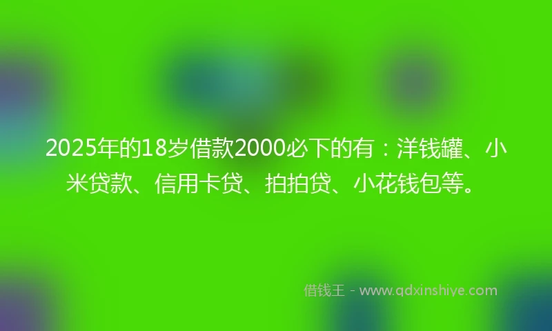 2025年的18岁借款2000必下的有：洋钱罐、小米贷款、信用卡贷、拍拍贷、小花钱包等。