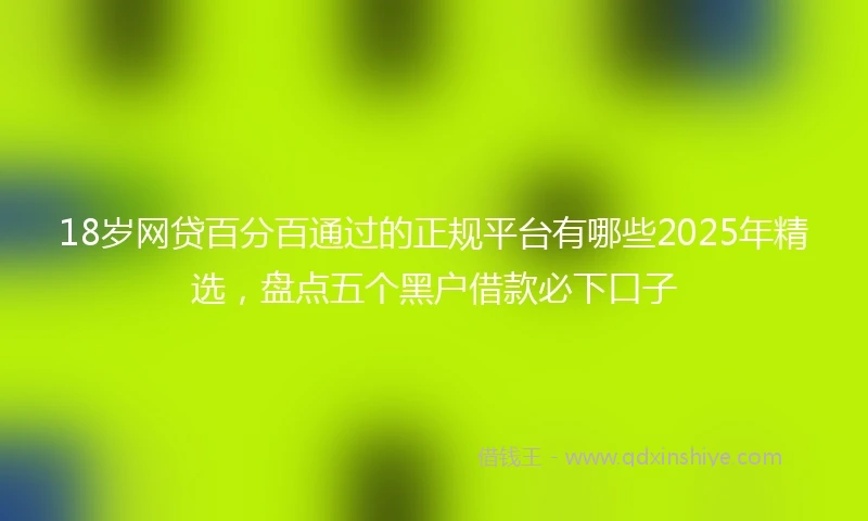 18岁网贷百分百通过的正规平台有哪些2025年精选，盘点五个黑户借款必下口子