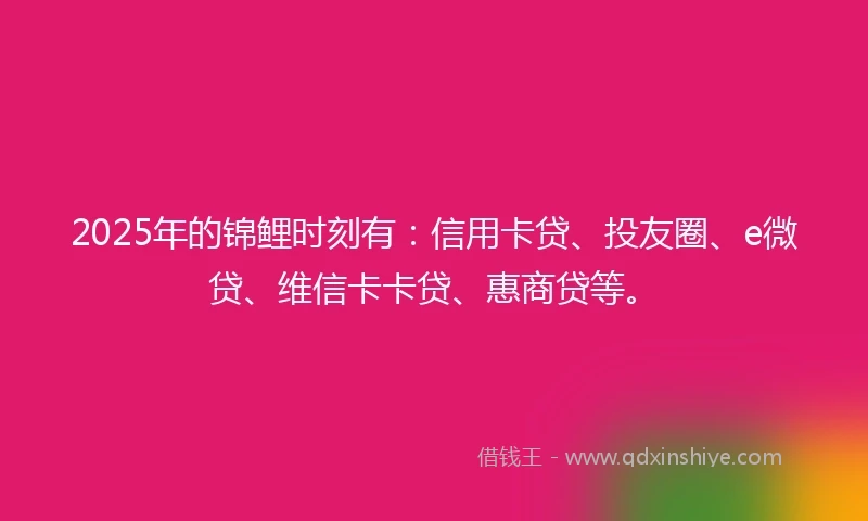 2025年的锦鲤时刻有：信用卡贷、投友圈、e微贷、维信卡卡贷、惠商贷等。