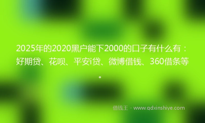 2025年的2020黑户能下2000的口子有什么有：好期贷、花呗、平安i贷、微博借钱、360借条等。