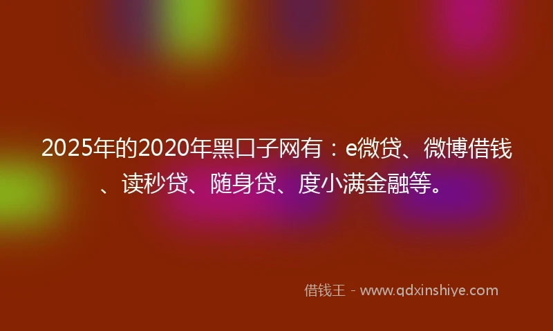 2025年的2020年黑口子网有：e微贷、微博借钱、读秒贷、随身贷、度小满金融等。