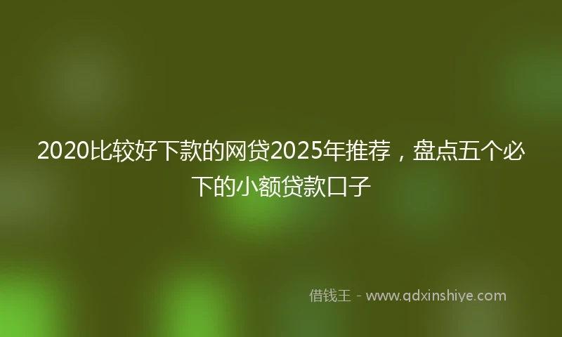 2020比较好下款的网贷2025年推荐，盘点五个必下的小额贷款口子