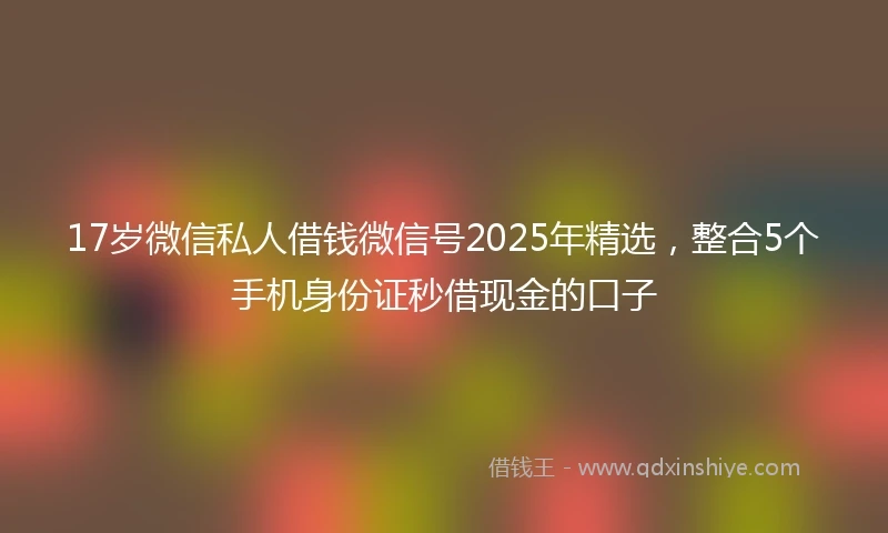 17岁微信私人借钱微信号2025年精选，整合5个手机身份证秒借现金的口子