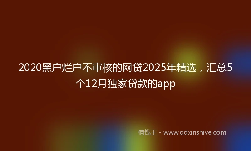 2020黑户烂户不审核的网贷2025年精选，汇总5个12月独家贷款的app