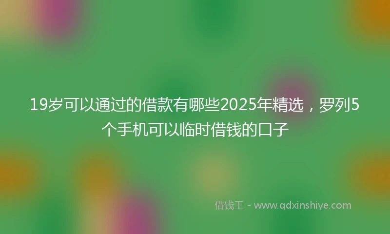 19岁可以通过的借款有哪些2025年精选，罗列5个手机可以临时借钱的口子