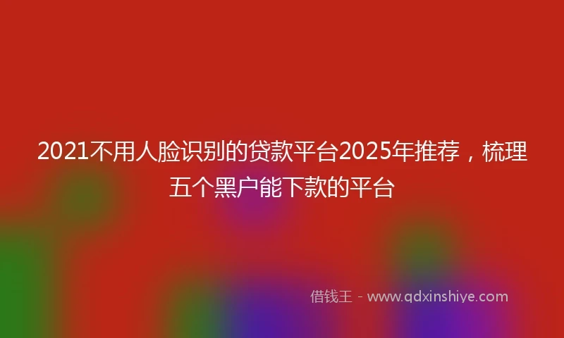 2021不用人脸识别的贷款平台2025年推荐，梳理五个黑户能下款的平台