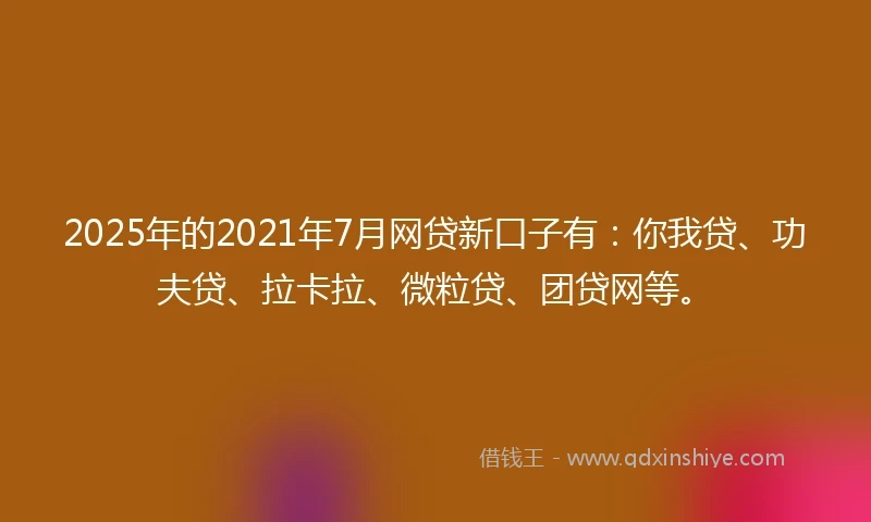 2025年的2021年7月网贷新口子有：你我贷、功夫贷、拉卡拉、微粒贷、团贷网等。