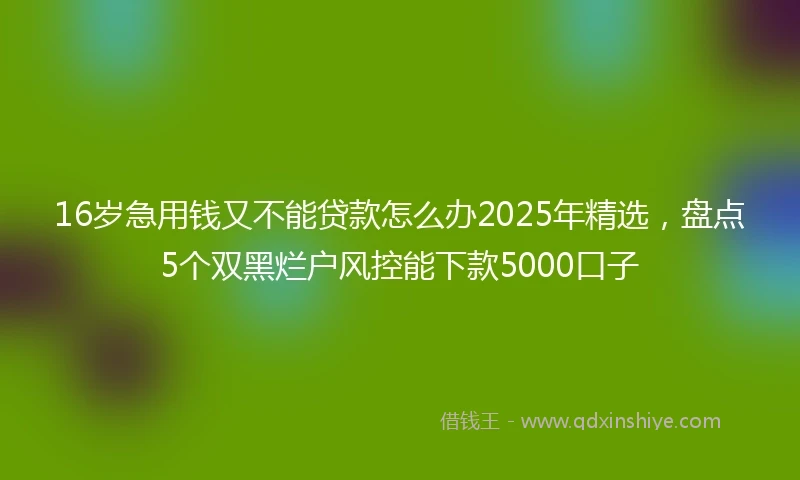 16岁急用钱又不能贷款怎么办2025年精选，盘点5个双黑烂户风控能下款5000口子