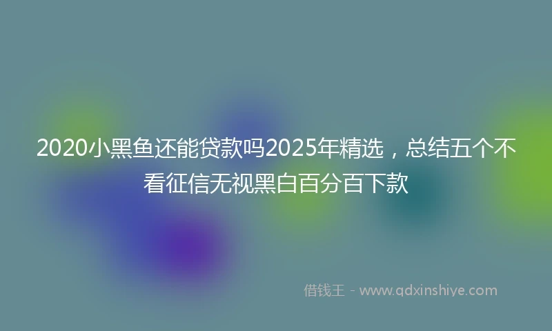 2020小黑鱼还能贷款吗2025年精选，总结五个不看征信无视黑白百分百下款