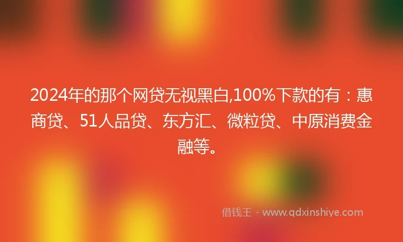 2024年的那个网贷无视黑白,100%下款的有：惠商贷、51人品贷、东方汇、微粒贷、中原消费金融等。
