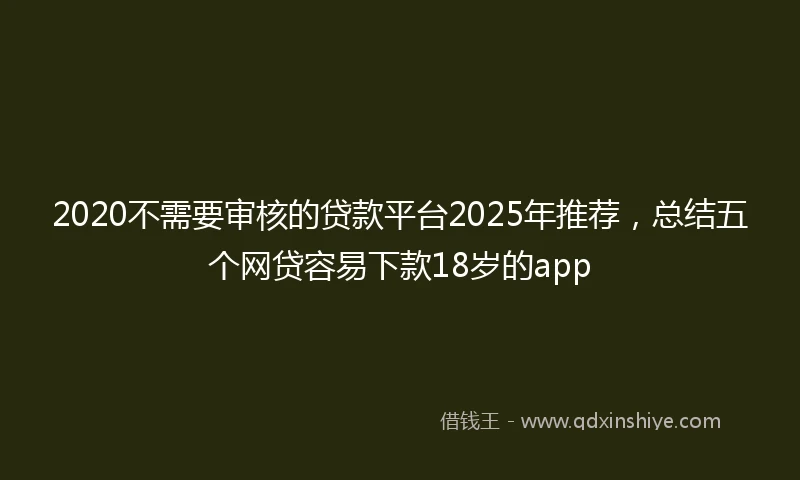 2020不需要审核的贷款平台2025年推荐，总结五个网贷容易下款18岁的app