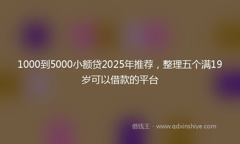 1000到5000小额贷2025年推荐，整理五个满19岁可以借款的平台