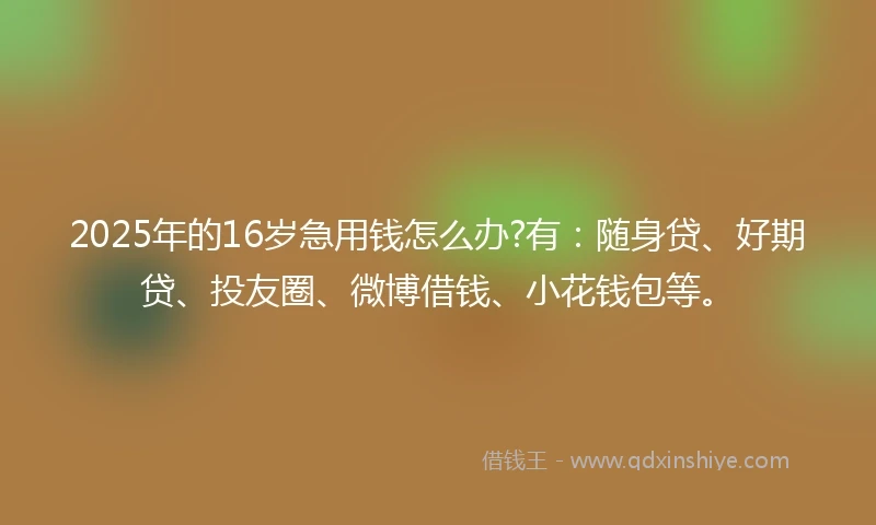 2025年的16岁急用钱怎么办?有：随身贷、好期贷、投友圈、微博借钱、小花钱包等。