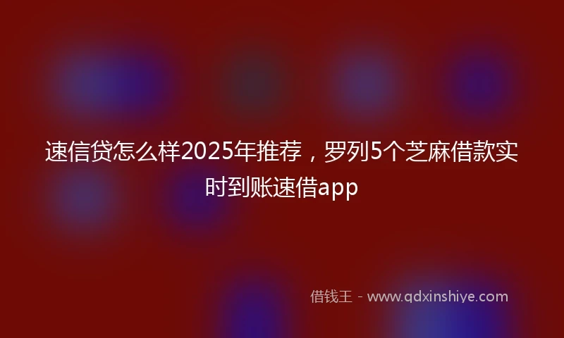 速信贷怎么样2025年推荐，罗列5个芝麻借款实时到账速借app
