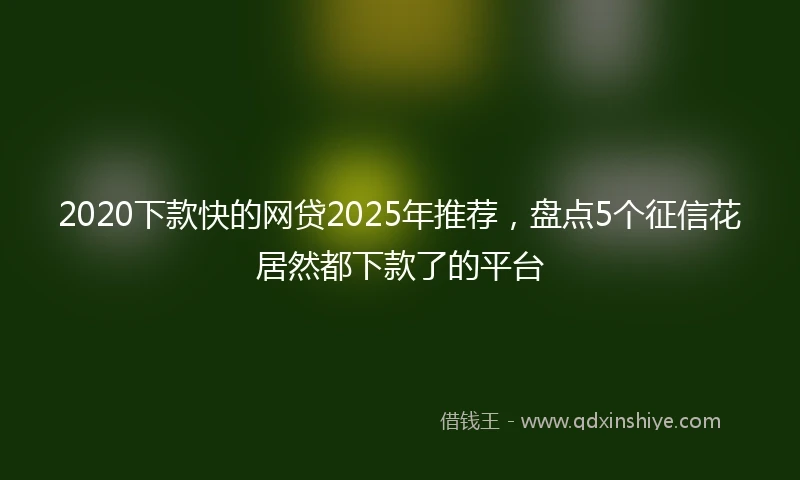 2020下款快的网贷2025年推荐，盘点5个征信花居然都下款了的平台
