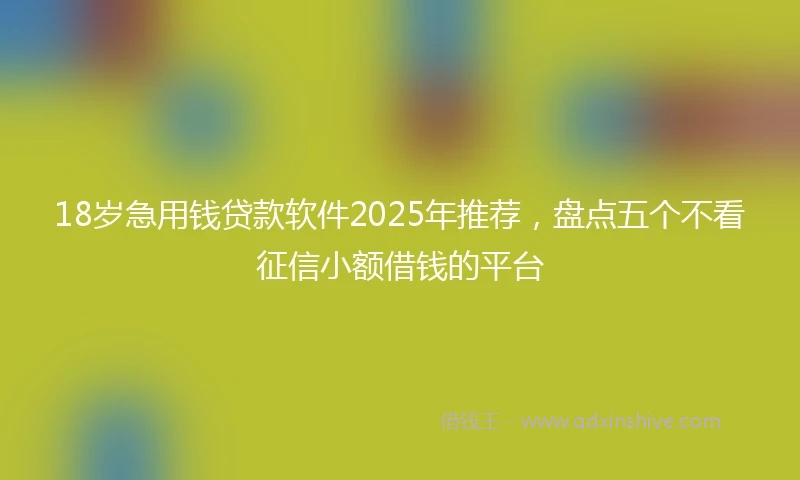 18岁急用钱贷款软件2025年推荐，盘点五个不看征信小额借钱的平台