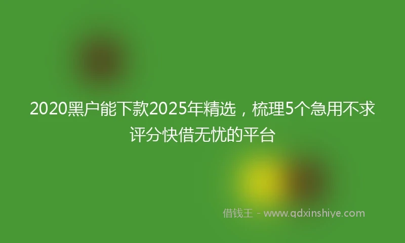 2020黑户能下款2025年精选，梳理5个急用不求评分快借无忧的平台
