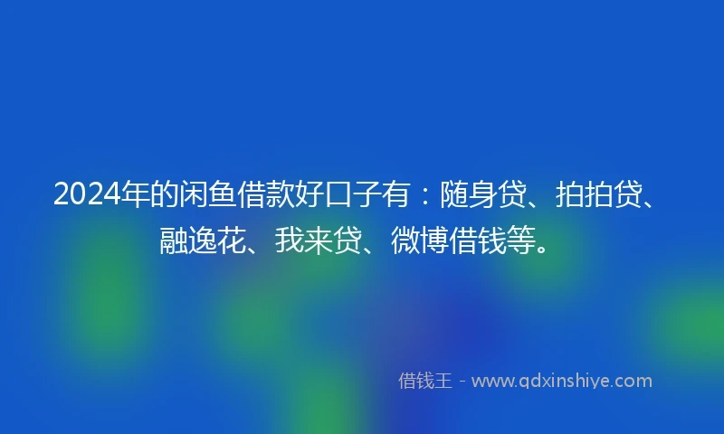 2024年的闲鱼借款好口子有：随身贷、拍拍贷、融逸花、我来贷、微博借钱等。