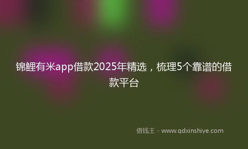 锦鲤有米app借款2025年精选，梳理5个靠谱的借款平台