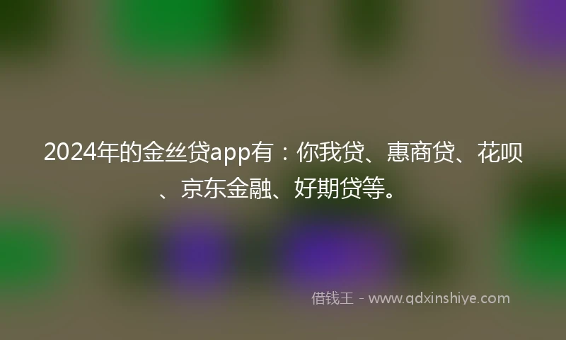 2024年的金丝贷app有：你我贷、惠商贷、花呗、京东金融、好期贷等。