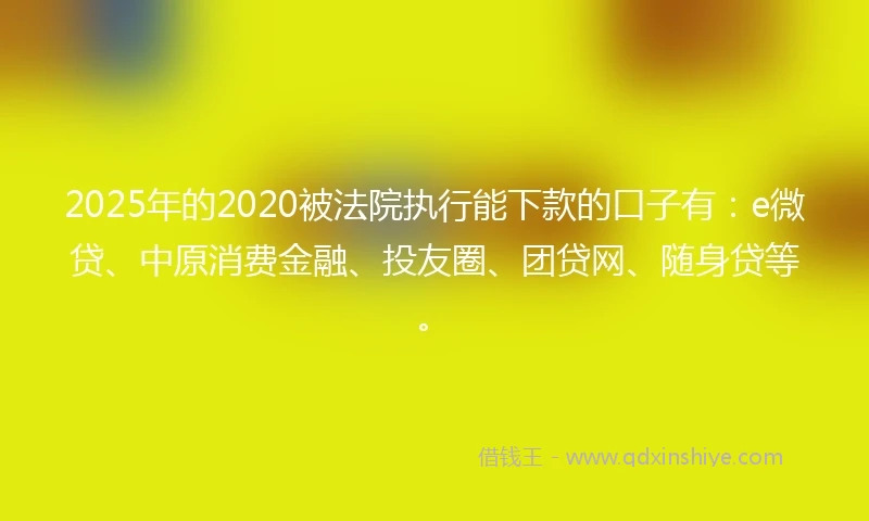 2025年的2020被法院执行能下款的口子有：e微贷、中原消费金融、投友圈、团贷网、随身贷等。
