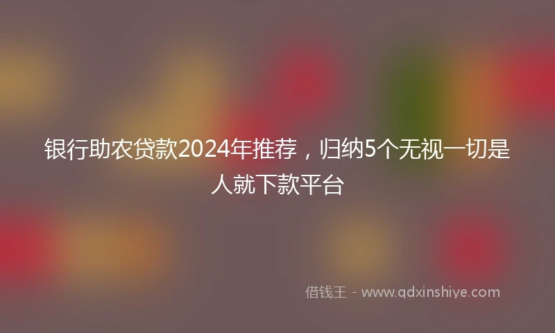 银行助农贷款2024年推荐，归纳5个无视一切是人就下款平台
