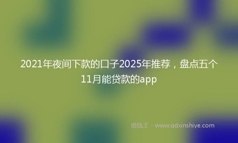 2021年夜间下款的口子2025年推荐，盘点五个11月能贷款的app