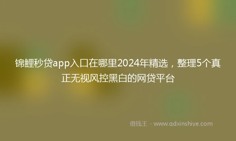 锦鲤秒贷app入口在哪里2024年精选，整理5个真正无视风控黑白的网贷平台