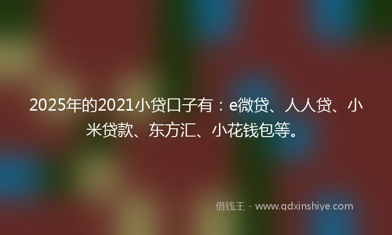 2025年的2021小贷口子有：e微贷、人人贷、小米贷款、东方汇、小花钱包等。