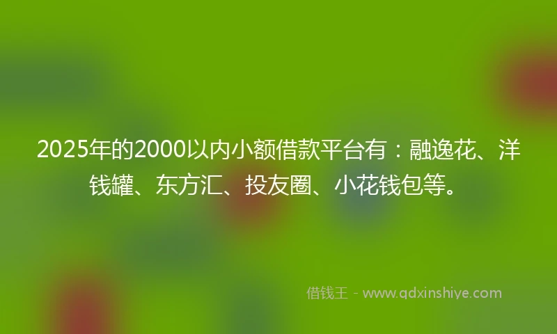 2025年的2000以内小额借款平台有：融逸花、洋钱罐、东方汇、投友圈、小花钱包等。