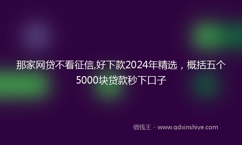 那家网贷不看征信,好下款2024年精选，概括五个5000块贷款秒下口子