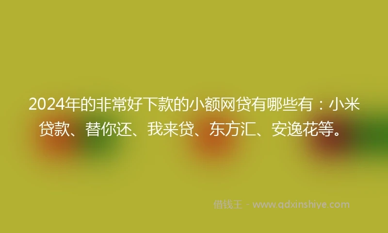 2024年的非常好下款的小额网贷有哪些有：小米贷款、替你还、我来贷、东方汇、安逸花等。