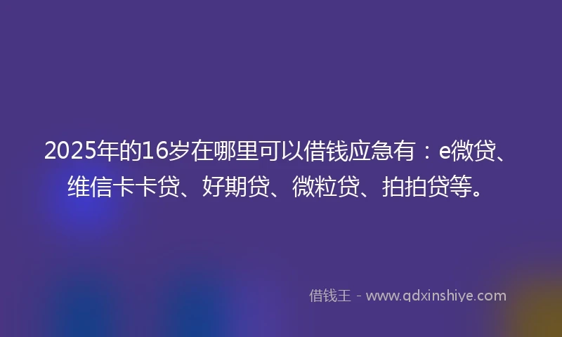 2025年的16岁在哪里可以借钱应急有：e微贷、维信卡卡贷、好期贷、微粒贷、拍拍贷等。