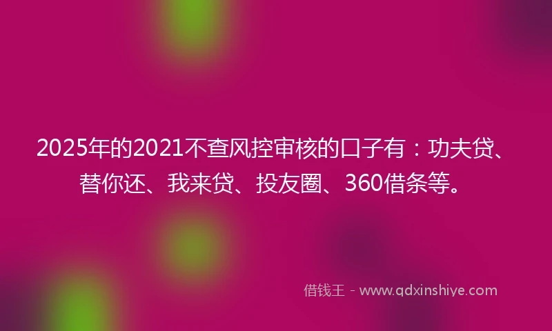 2025年的2021不查风控审核的口子有：功夫贷、替你还、我来贷、投友圈、360借条等。