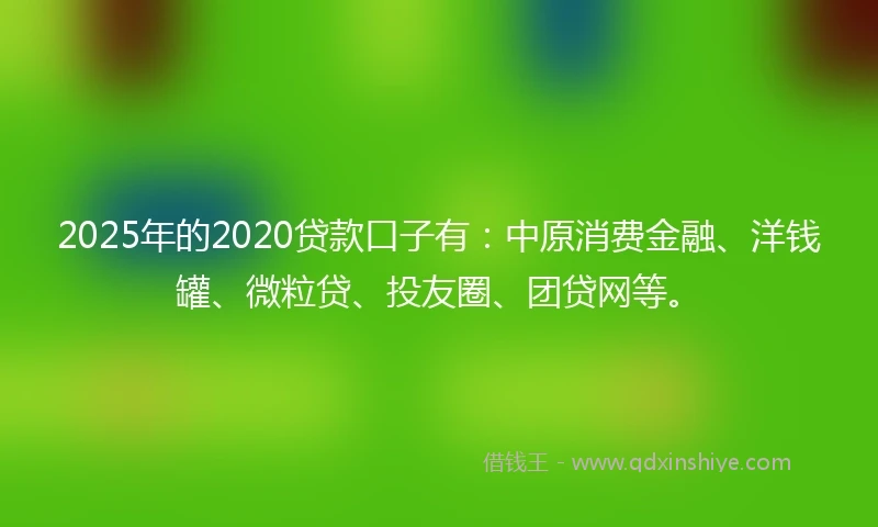 2025年的2020贷款口子有：中原消费金融、洋钱罐、微粒贷、投友圈、团贷网等。