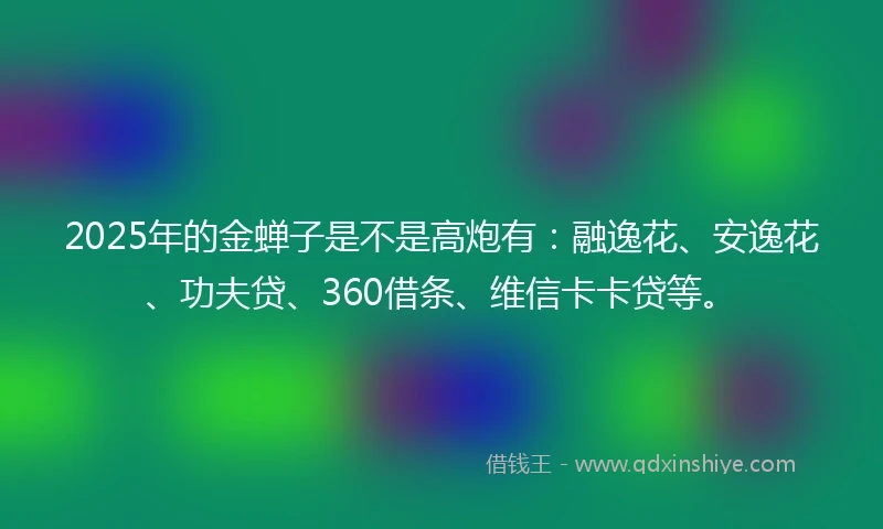2025年的金蝉子是不是高炮有：融逸花、安逸花、功夫贷、360借条、维信卡卡贷等。