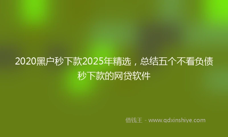 2020黑户秒下款2025年精选，总结五个不看负债秒下款的网贷软件