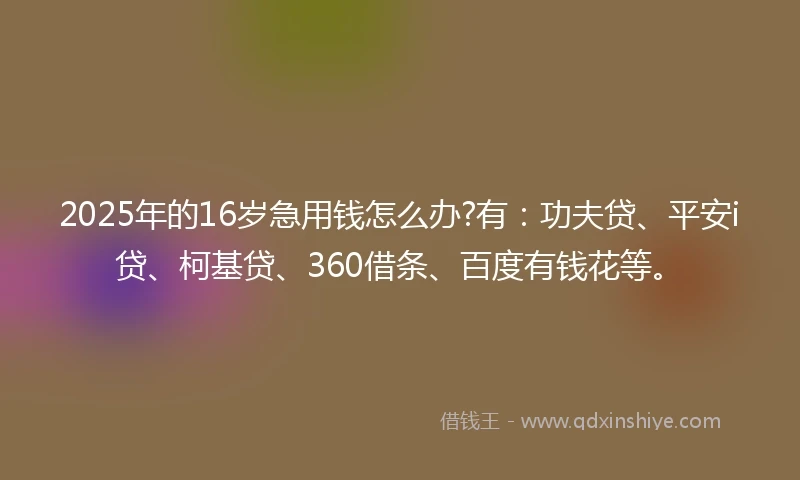 2025年的16岁急用钱怎么办?有：功夫贷、平安i贷、柯基贷、360借条、百度有钱花等。