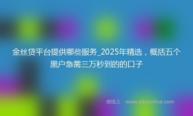 金丝贷平台提供哪些服务_2025年精选，概括五个黑户急需三万秒到的的口子