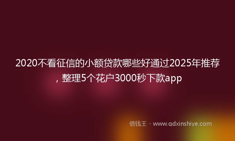 2020不看征信的小额贷款哪些好通过2025年推荐，整理5个花户3000秒下款app