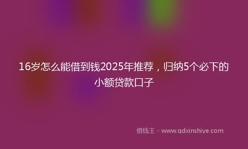 16岁怎么能借到钱2025年推荐，归纳5个必下的小额贷款口子