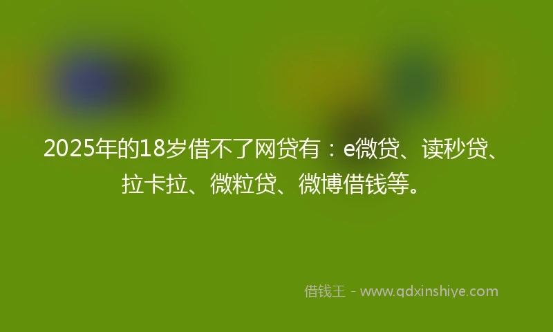 2025年的18岁借不了网贷有：e微贷、读秒贷、拉卡拉、微粒贷、微博借钱等。