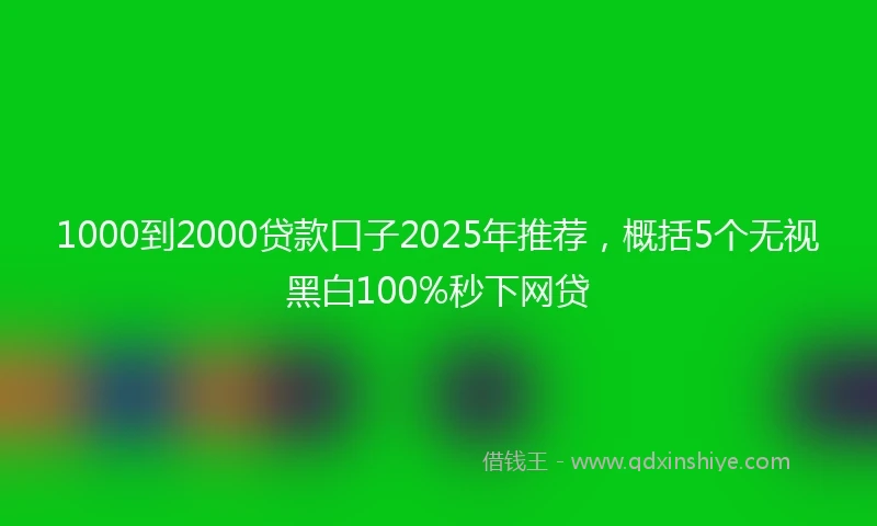 1000到2000贷款口子2025年推荐，概括5个无视黑白100%秒下网贷