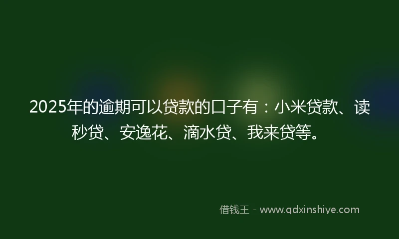 2025年的逾期可以贷款的口子有：小米贷款、读秒贷、安逸花、滴水贷、我来贷等。