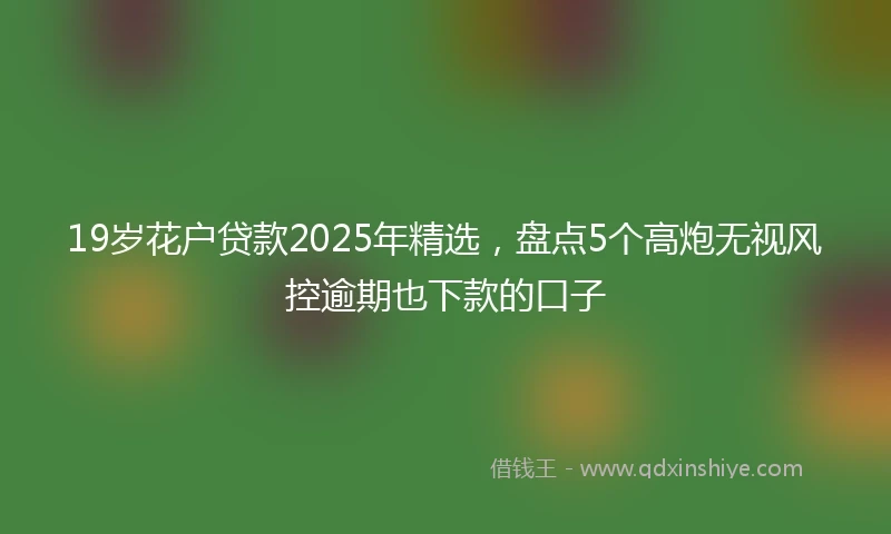 19岁花户贷款2025年精选，盘点5个高炮无视风控逾期也下款的口子