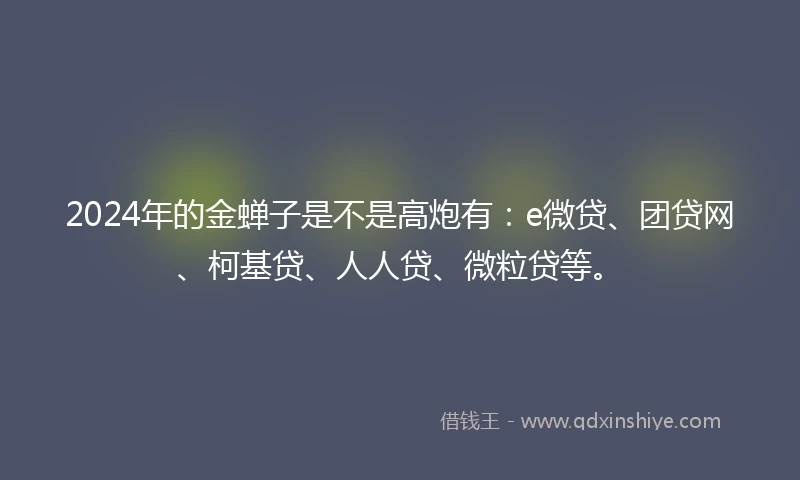 2024年的金蝉子是不是高炮有：e微贷、团贷网、柯基贷、人人贷、微粒贷等。